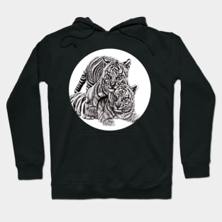 Sumatran tiger cubs illustration Hoodie